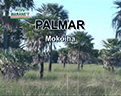 KURUSUVEVE121_PALMAR_TIRO_AMETRALLADORA_121X96 KURUSUVEVE121_PALMAR_TIRO_AMETRALLADORA_121X96