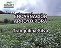 TETA_PI_PYPEGUA_ARROYO_PORA_TRANQUILA_121x96