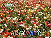 arayvoty-primavera-spring-fr�ling-175-131